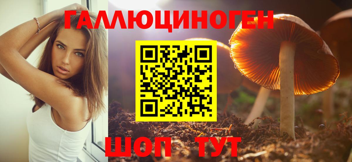 Псилоцибиновые грибы GOLDEN TEACHER  Галлюциногенные грибы мухоморы  Спасск-Дальний  где найти наркотики  Вход с VPN 